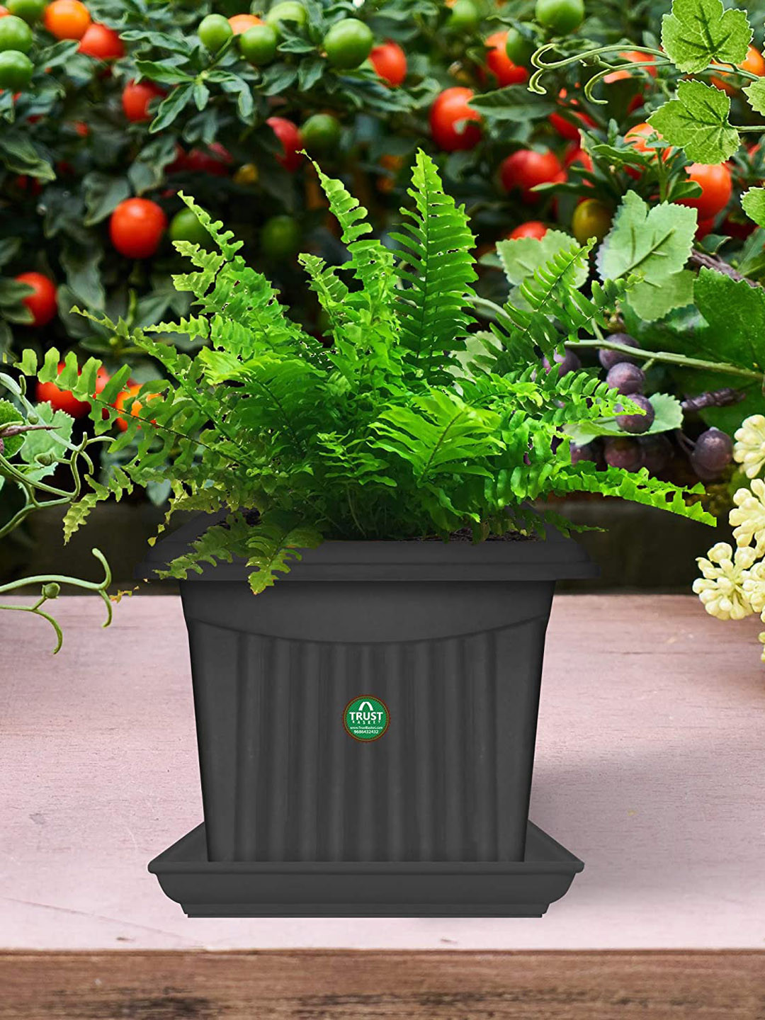 TRUSTBASKET 6-Pcs Black Square Saucers Planters