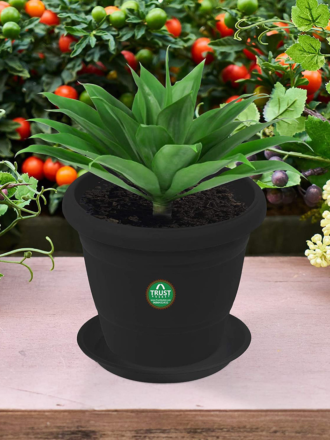 TrustBasket 6-Pcs Black UV Treated Round Saucers Planters