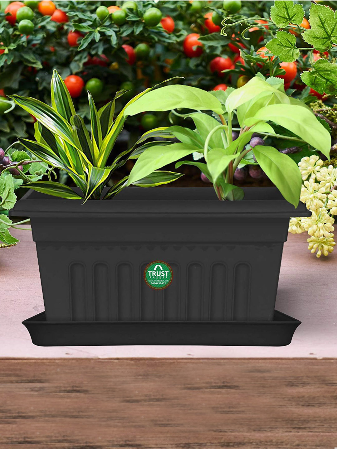 TRUSTBASKET 6-Pcs Black Rectangular Saucers Planters