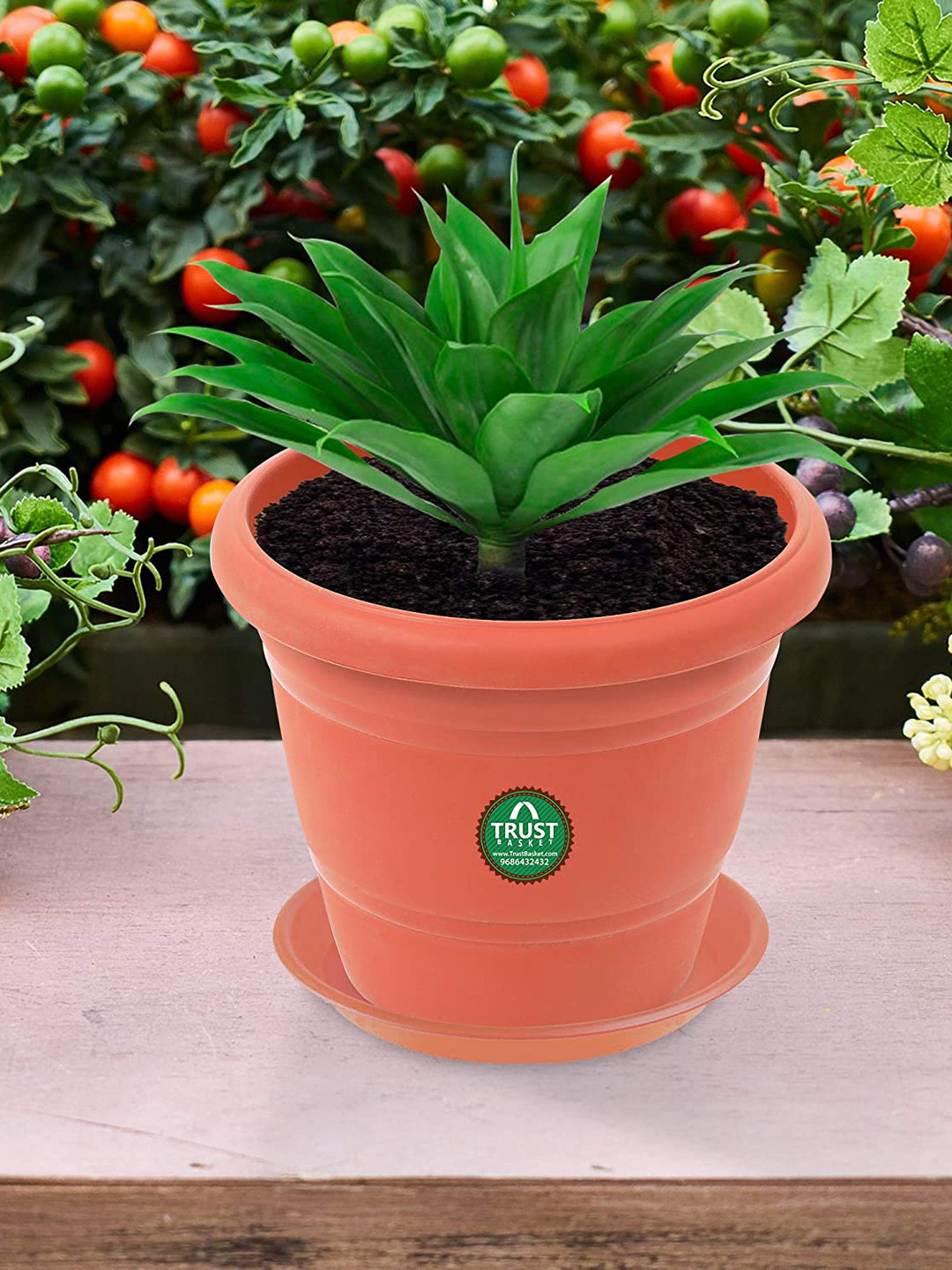 TRUSTBASKET 6 Pcs Brown Brand Logo Detailing Planter Saucers