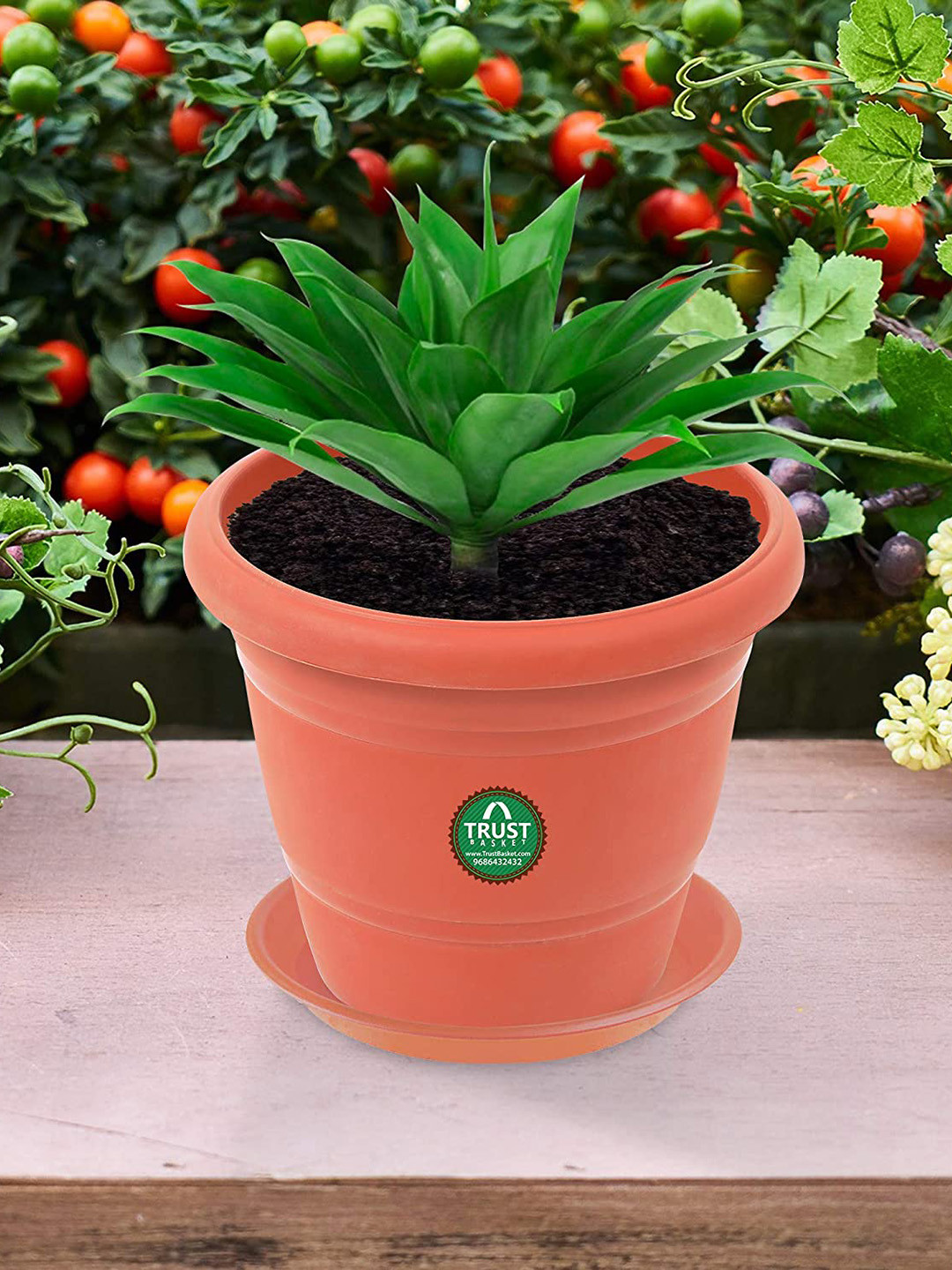 TrustBasket 12-Pcs Brown UV Treated Round Saucers Planters