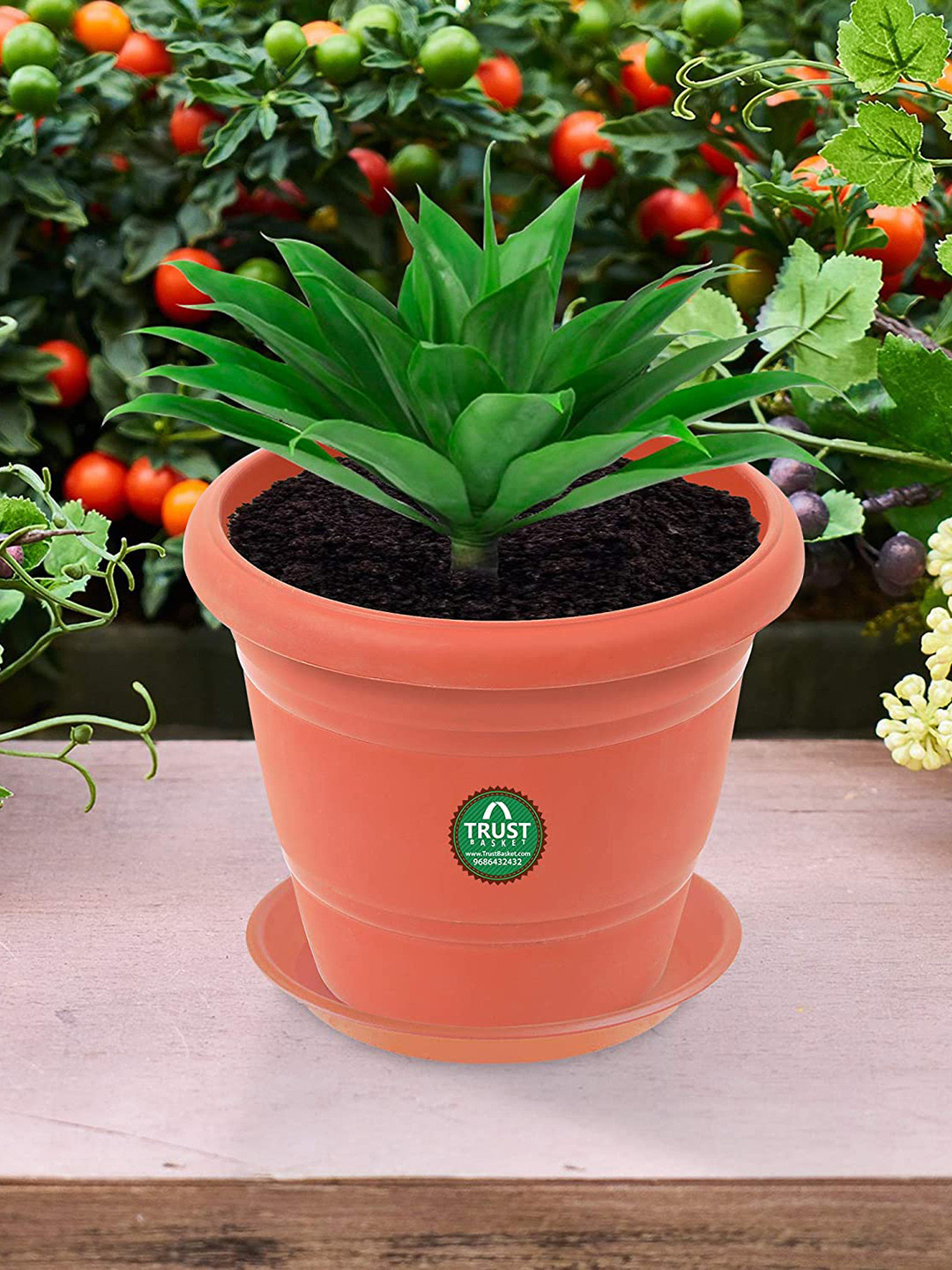 TrustBasket 3-Pcs Brown UV Treated Round Saucers Planters