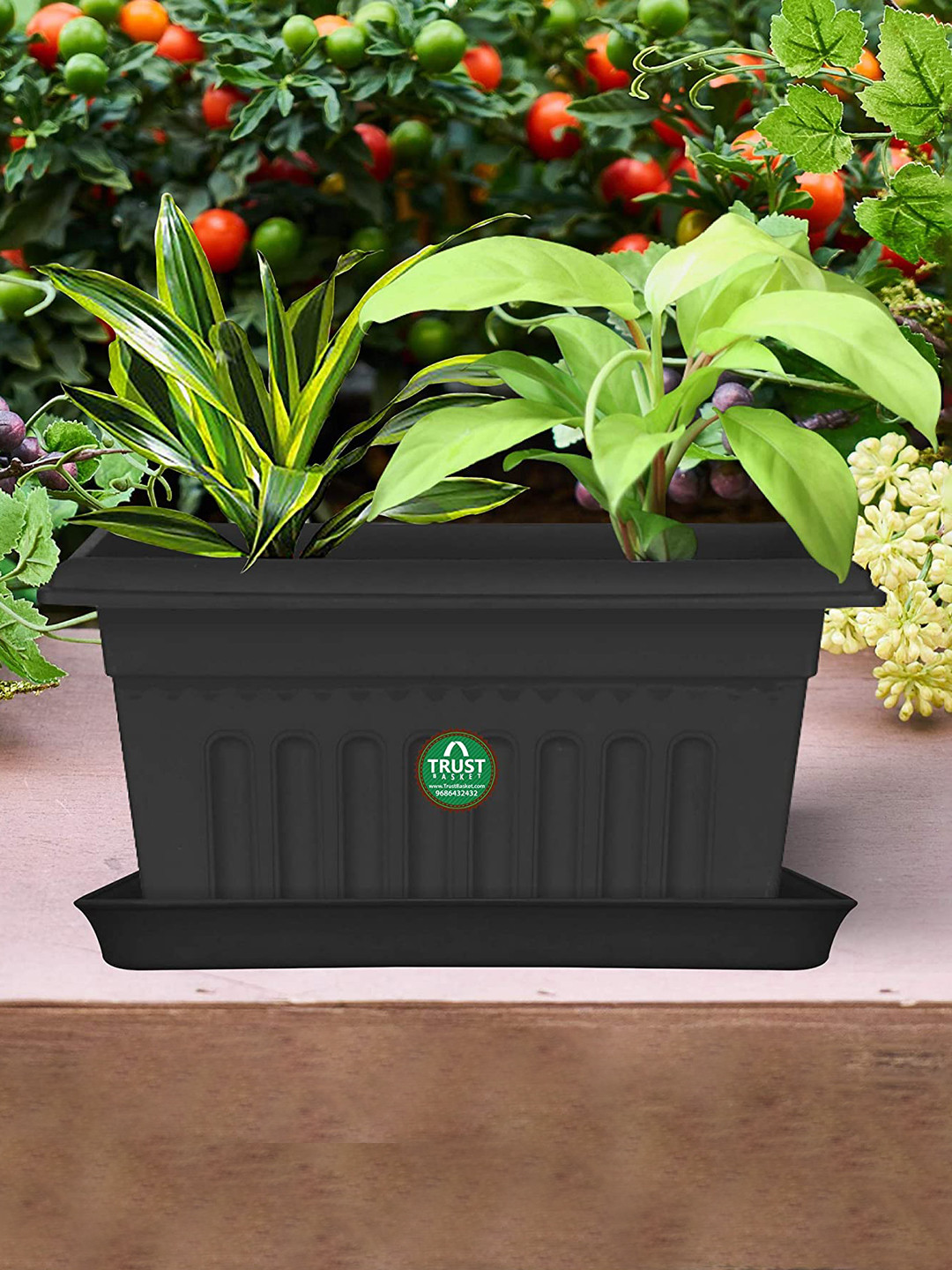 TrustBasket 12-Pcs Black UV Treated Rectangular Saucers Planters