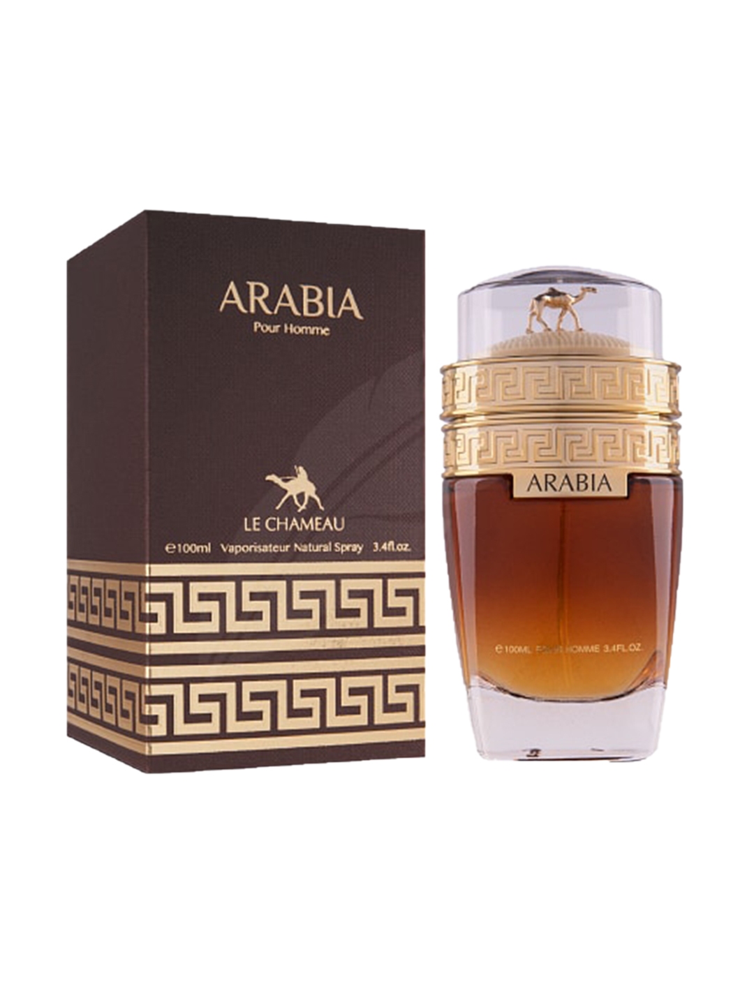 Arabia pour 2025 homme le chameau