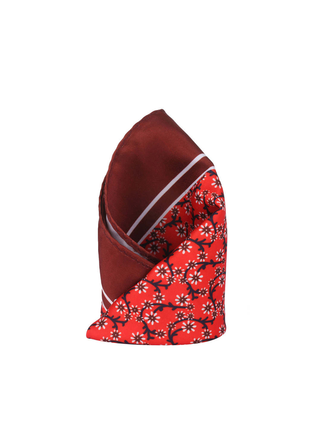 Alvaro Castagnino Red & Maroon Printed Pocket Square