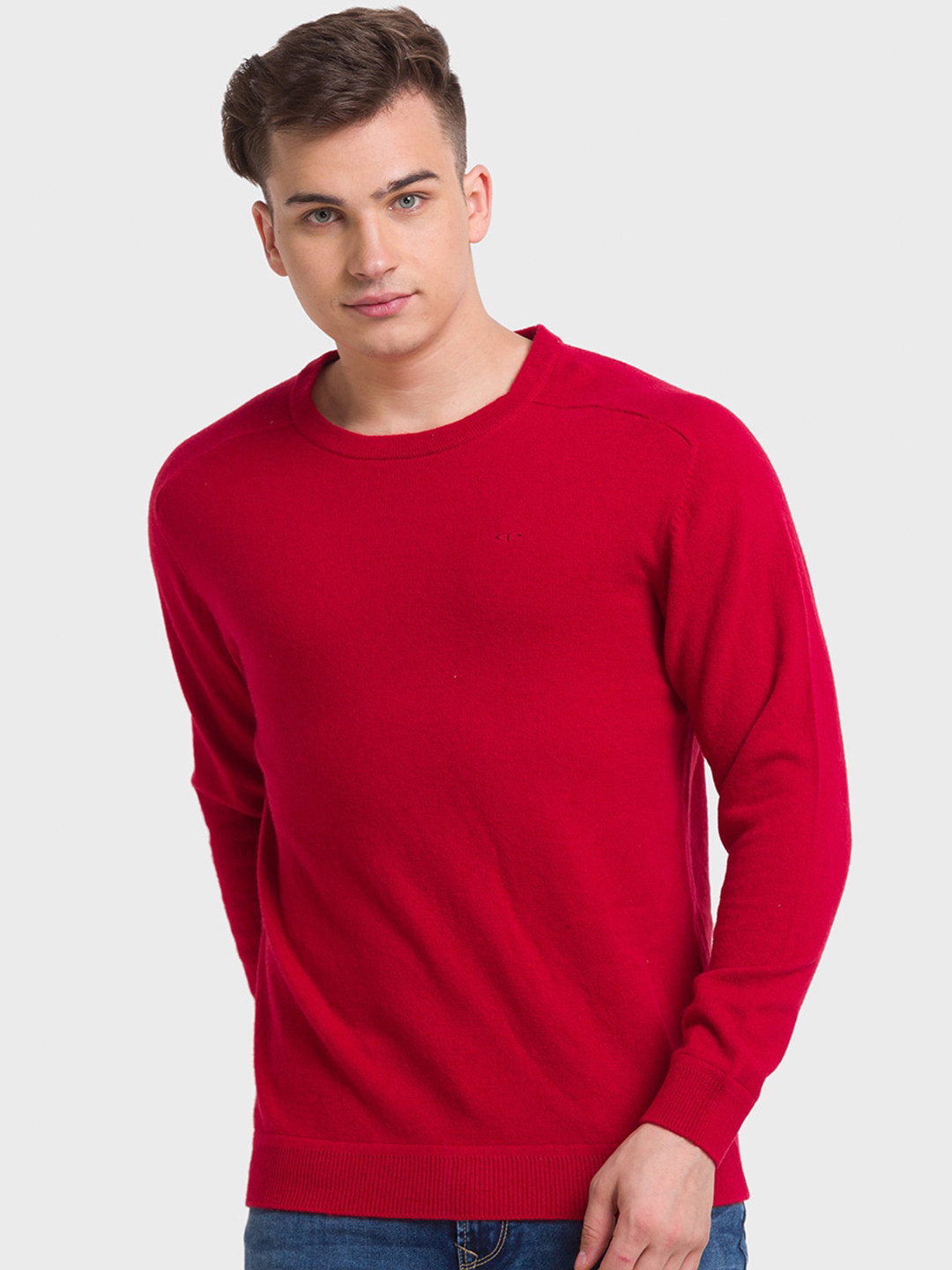 ColorPlus Men Wool Pullover