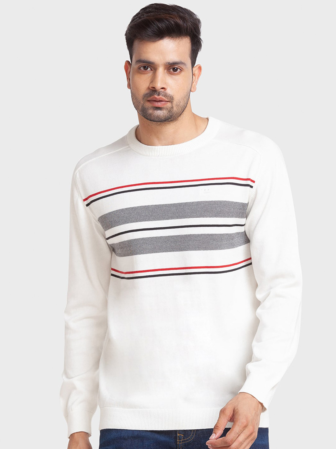 ColorPlus Men Striped Cotton Pullover