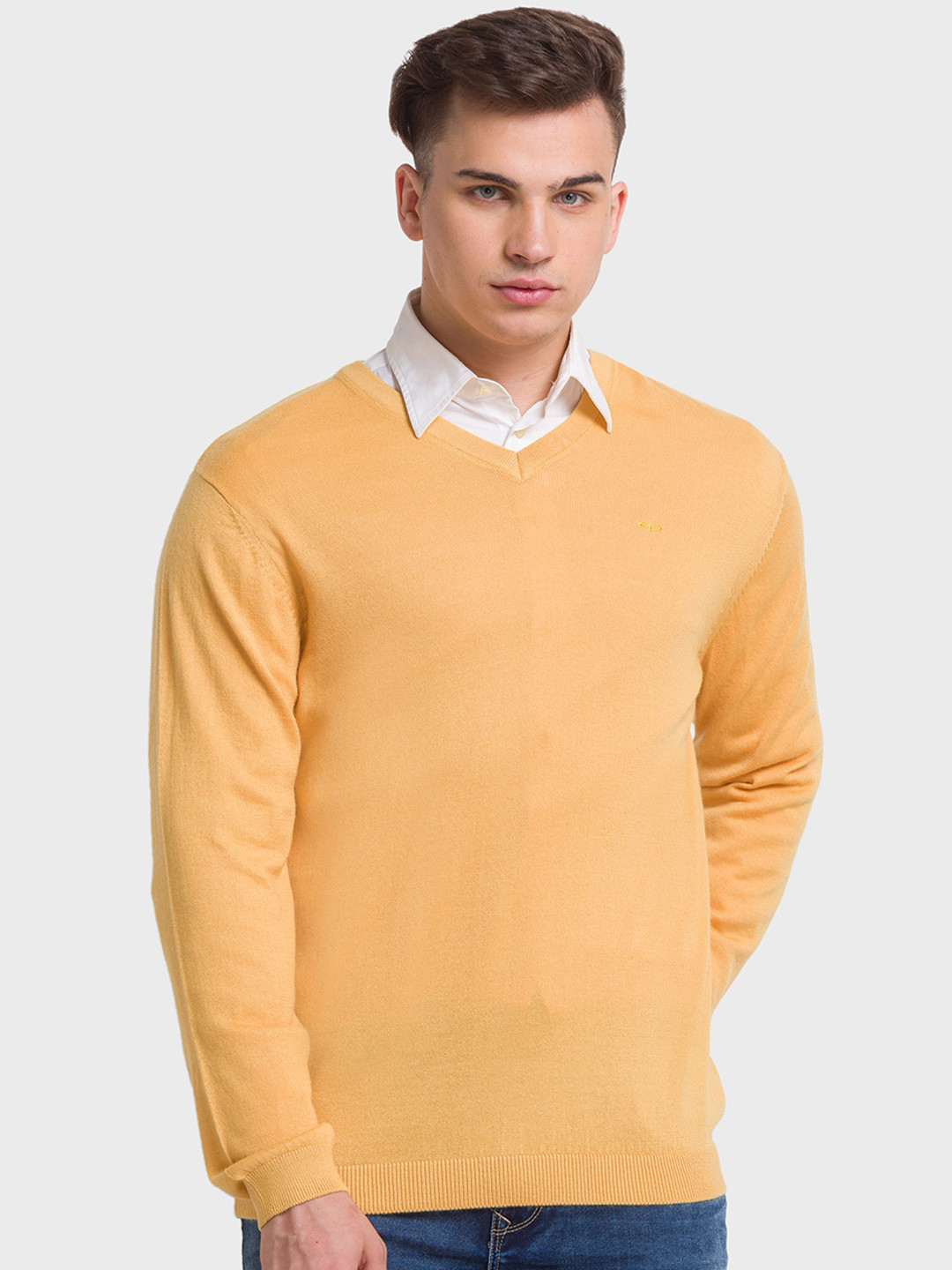 ColorPlus Men Wool Pullover