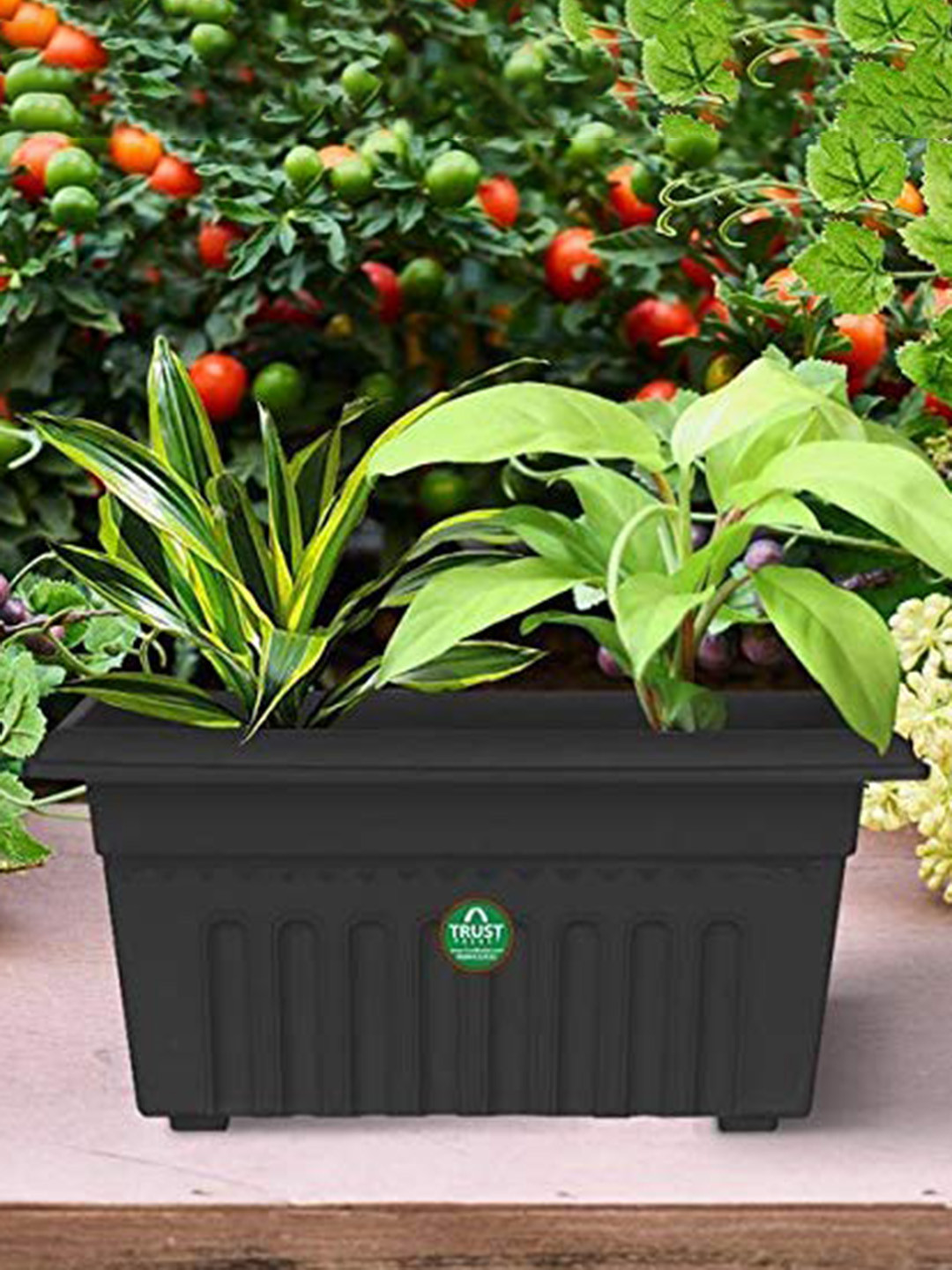 TRUSTBASKET 3-Pieces Black Textured UV Treated Rectangular Planters