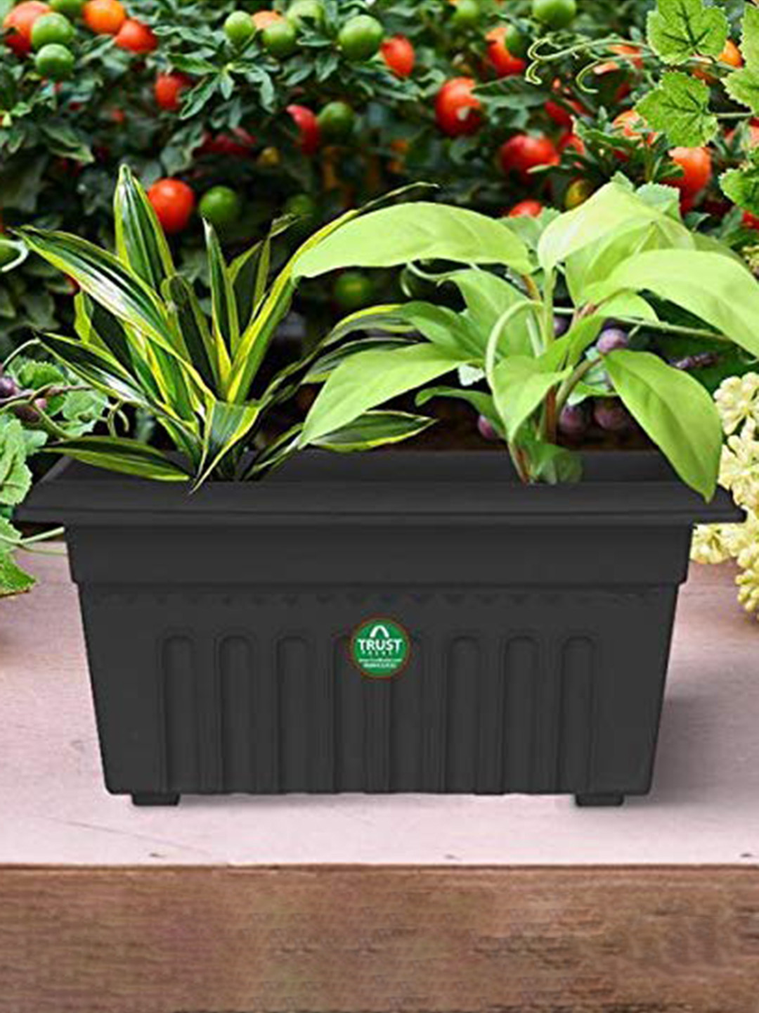 TRUSTBASKET 12-Pieces Black Textured UV Treated Rectangular Planters