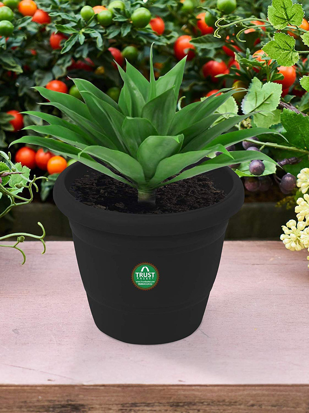 TRUSTBASKET 6-Pcs Black Round UV Treated Planters