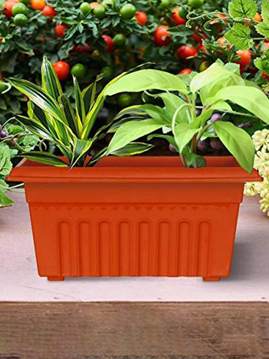 TRUSTBASKET 12-Pcs Brown Rectangular Planters