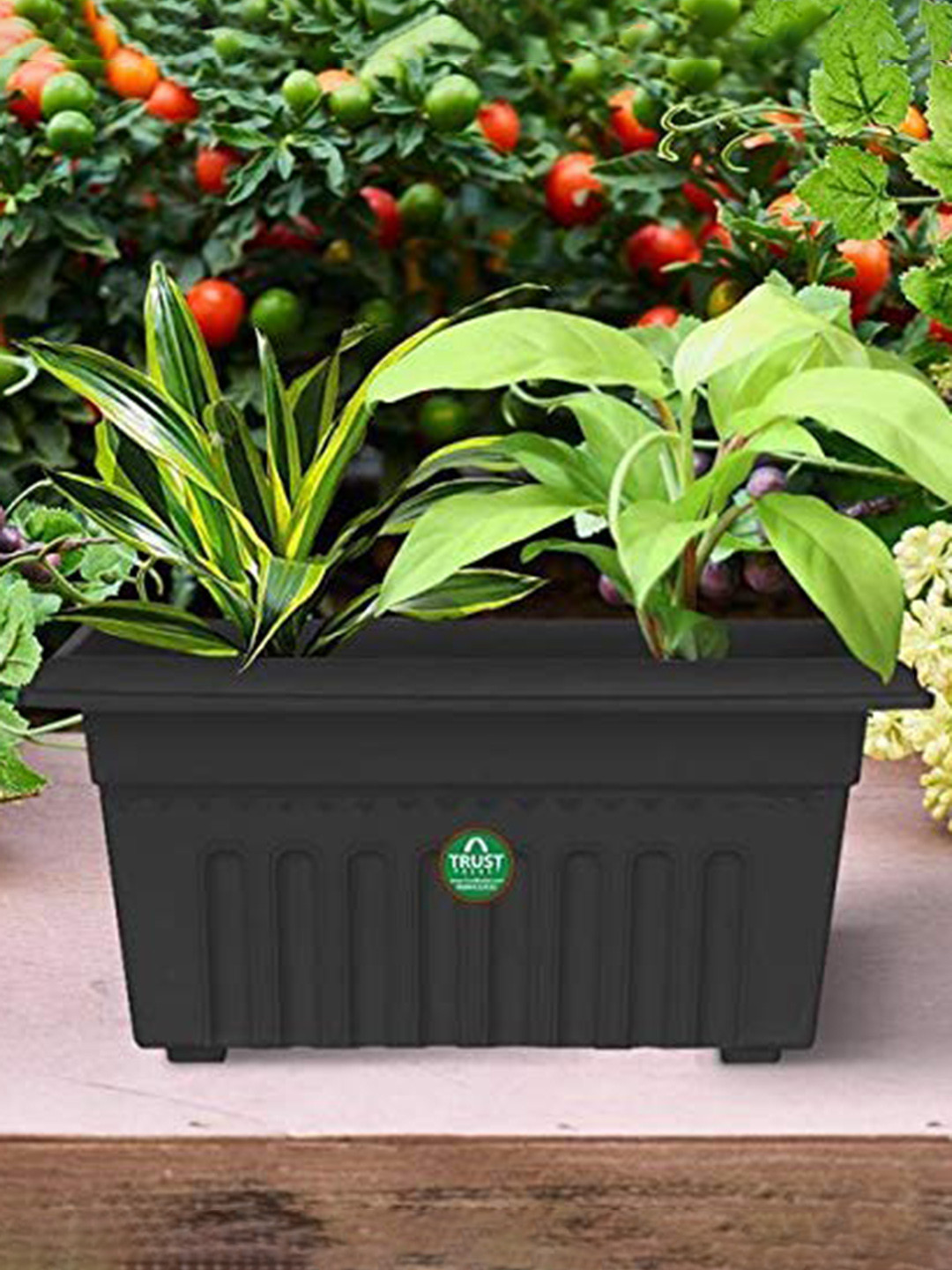TRUSTBASKET 3-Pcs Black Rectangular Planters