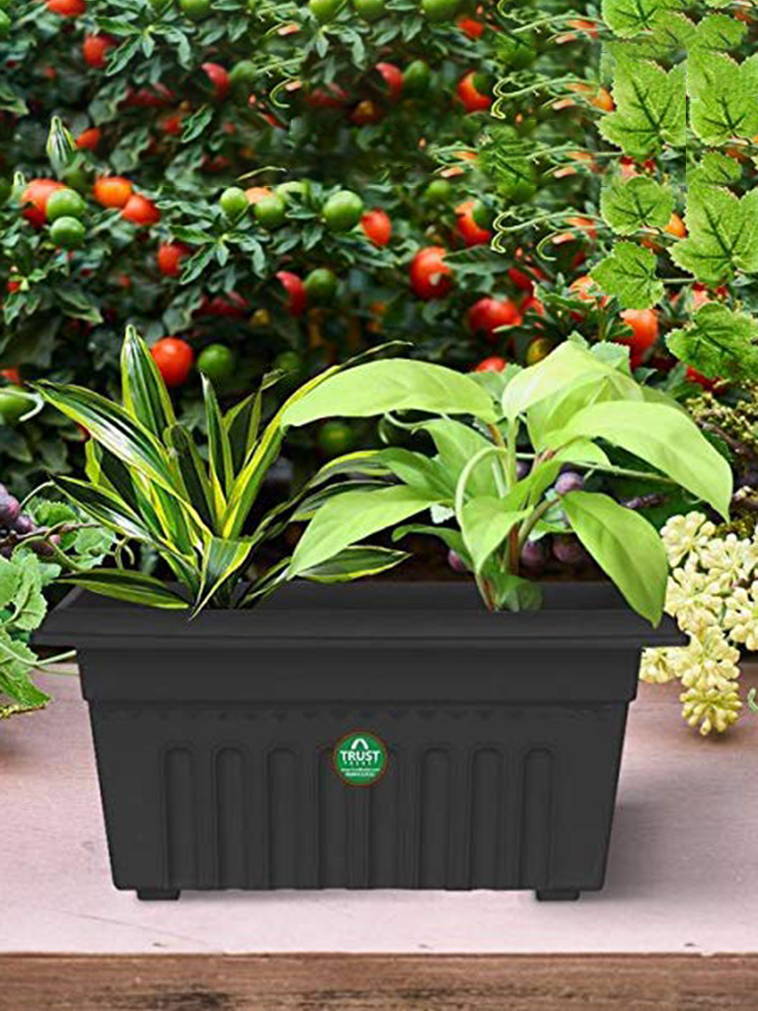 TRUSTBASKET 3-Pcs Black Rectangular Planters