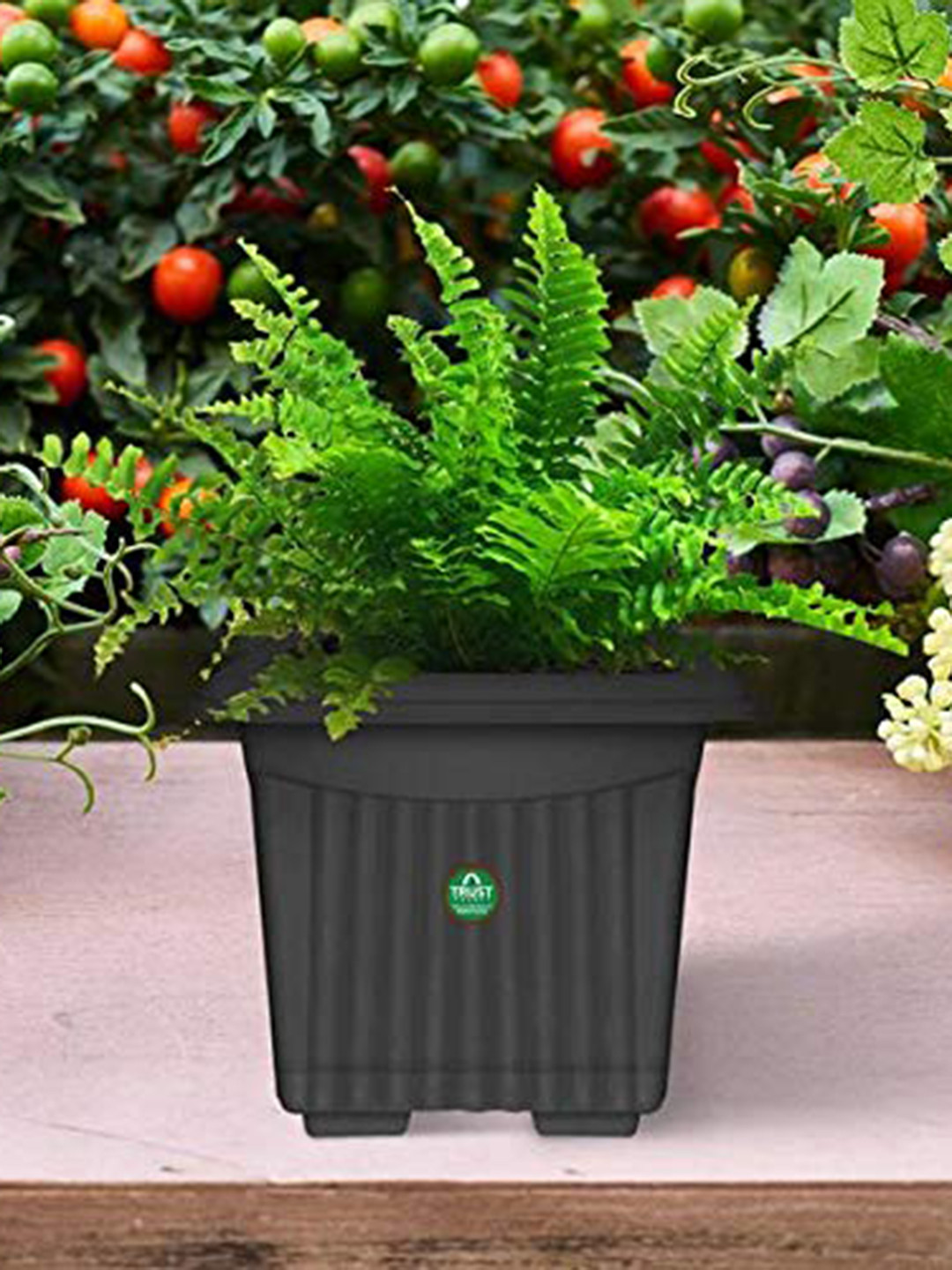 TrustBasket 6-Pcs Black Textured UV Treated Square Planters