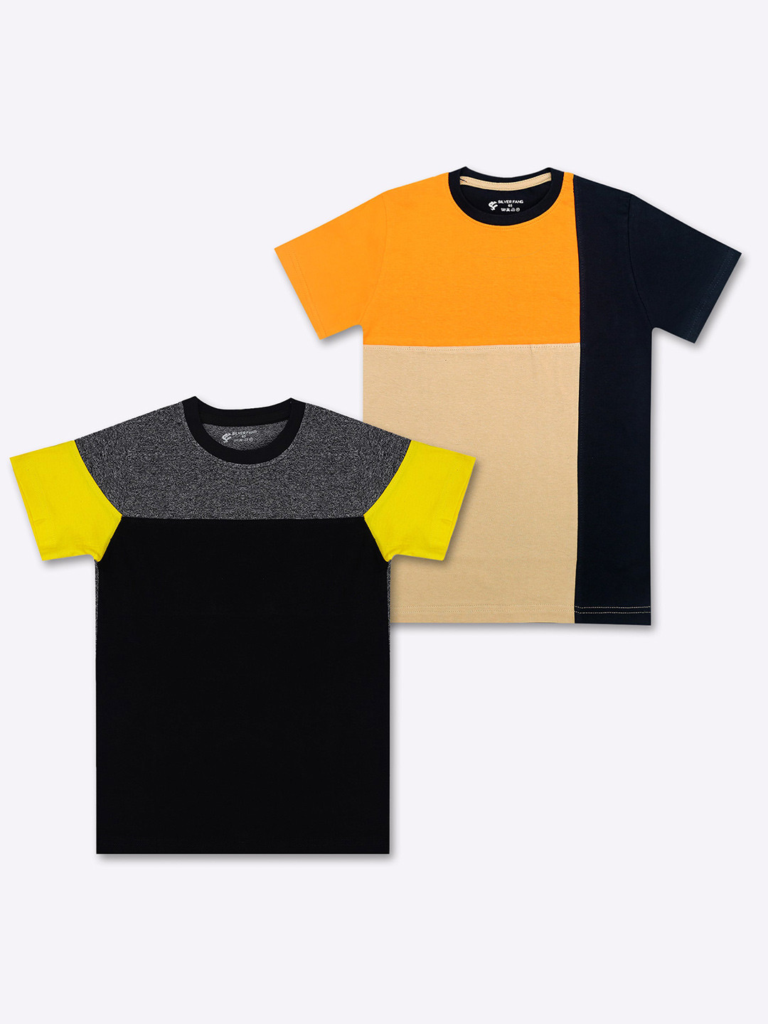 Silver Fang Boys Pack of 2 Colourblocked Round Neck Cotton T-shirt