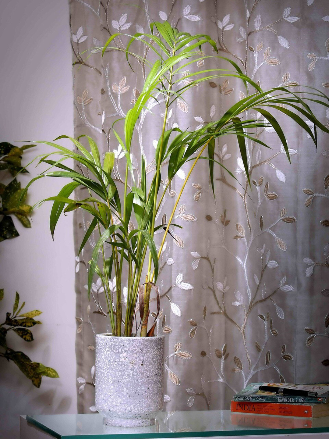 POSH-N-PLUSH Grey Marble Design Cylindrical Terrazzo Planter