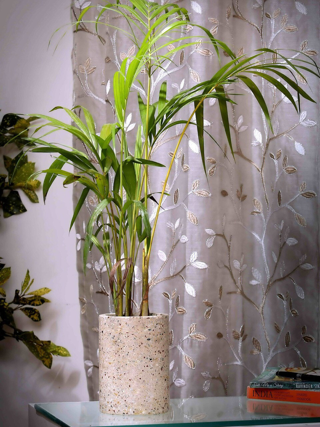 POSH-N-PLUSH Beige-Coloured Cylindrical Terrazzo Planter