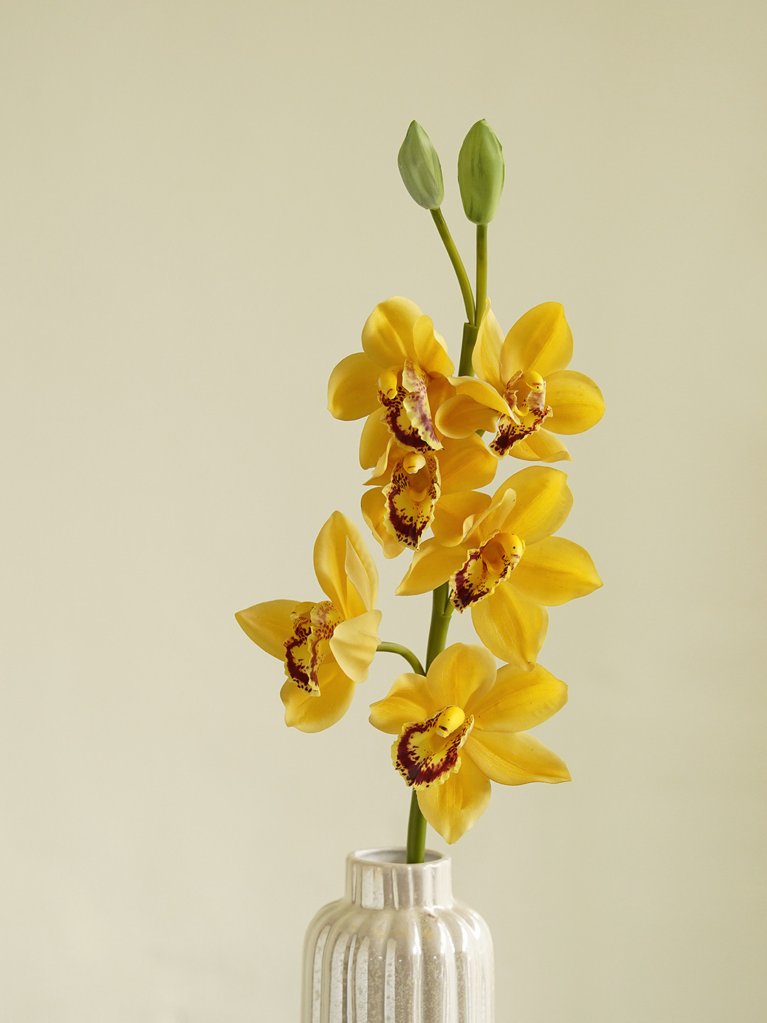 Pure Home and Living Yellow Orchid Artificial Flowers