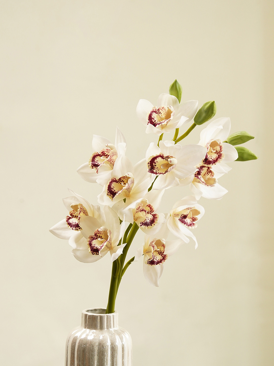 Pure Home and Living White & Green Faux Boat Orchid Spray Artificial Flower