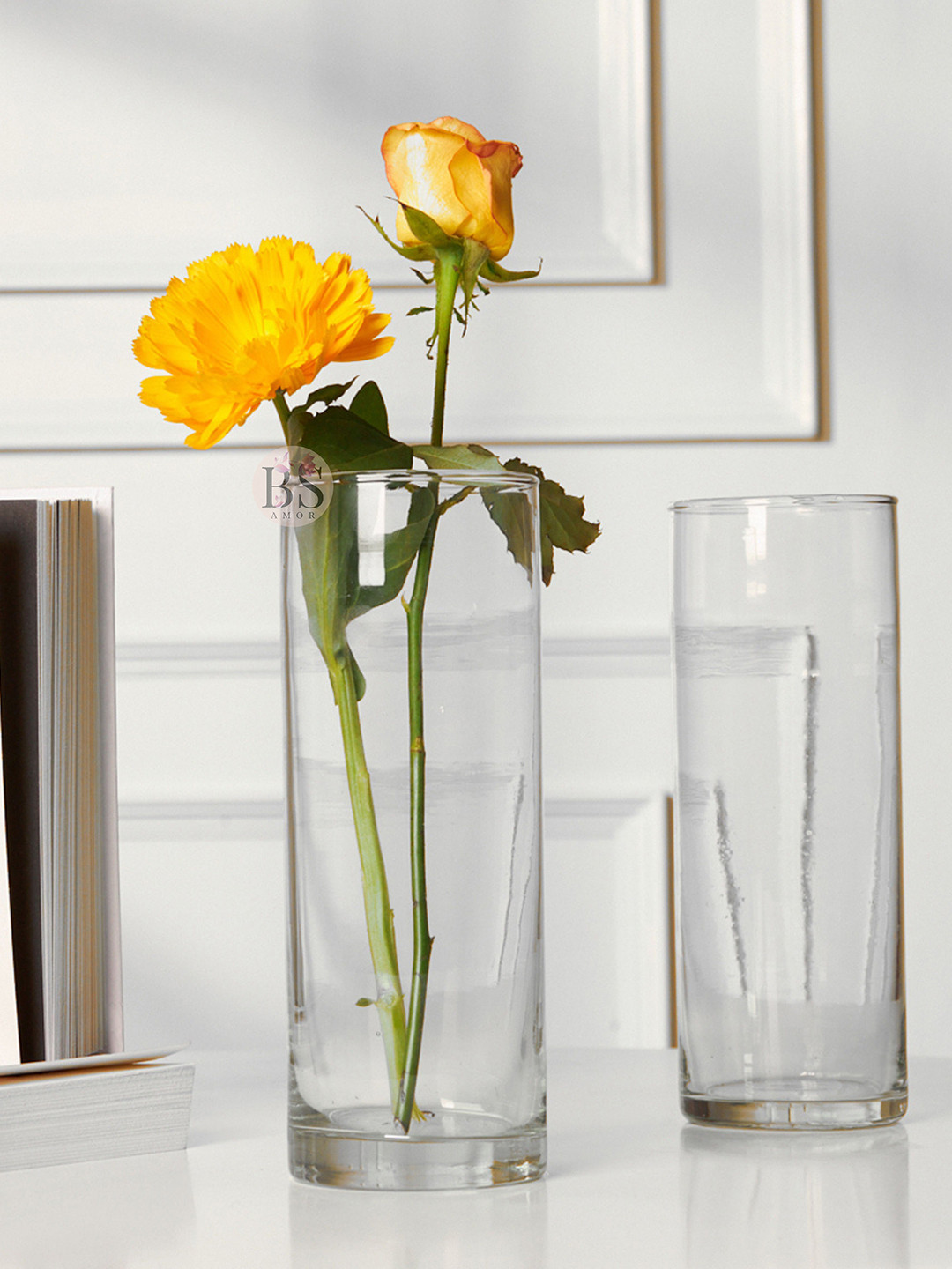 BS AMOR Set Of 2 Transparent Cylindrical Glass Flower Vase