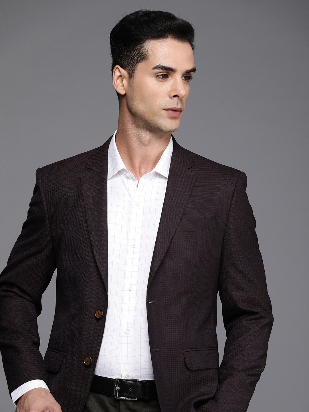 Louis Philippe Self Design Textured Slim Fit Single-Breasted Formal Blazer