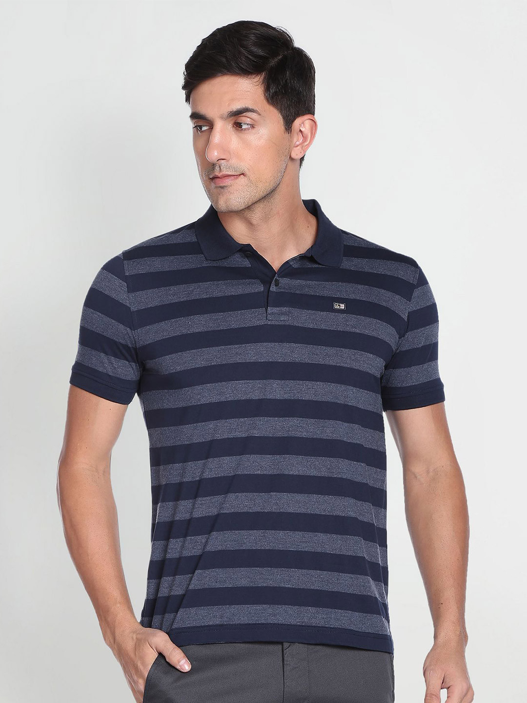 Arrow Sport Striped Polo Collar T-shirt