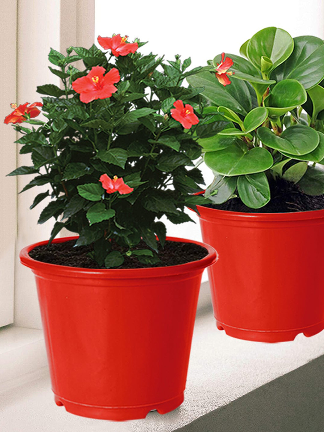 Kuber Industries Set Of 4 Plastic Flower Pot Gamla for Home Decor
