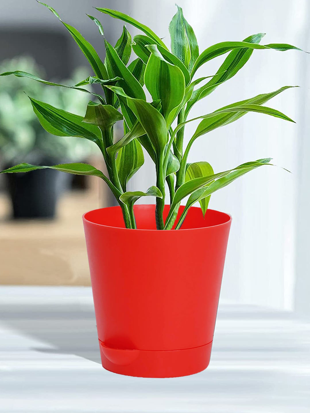 Kuber Industries Set of 2 Red Self-Watering Pot With Drainage Holes Planters