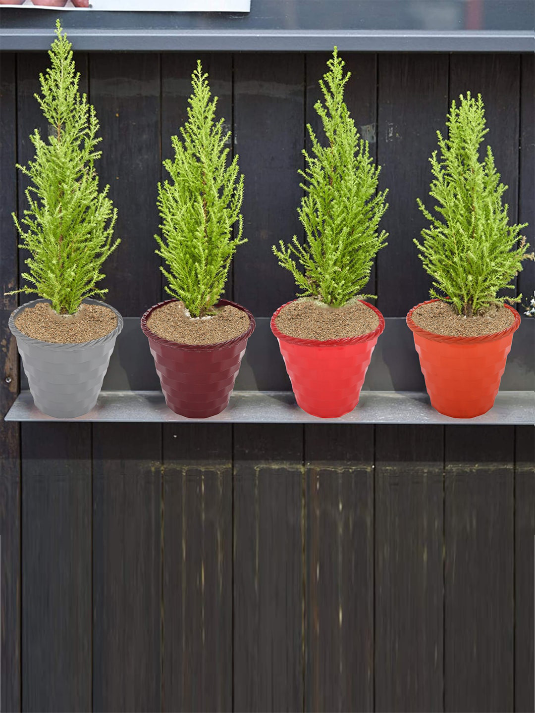 Kuber Industries Orange & Brown 3 Pcs  Brick Flower Planters