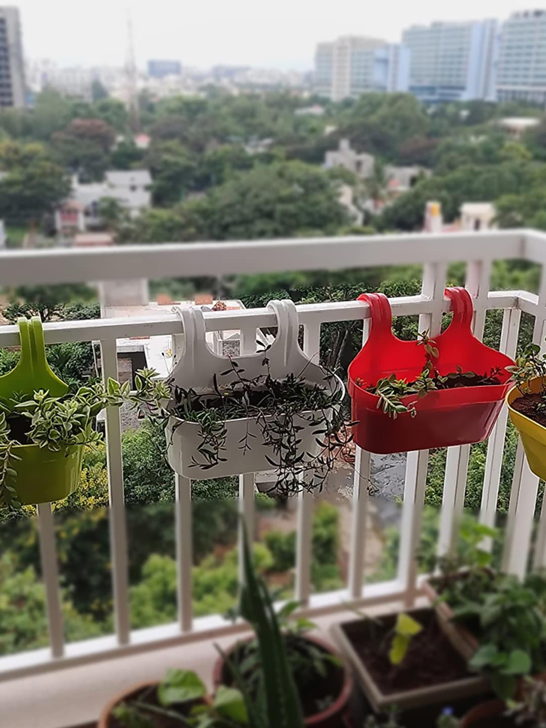 Kuber Industries White 2 Pcs Double Hook Planters