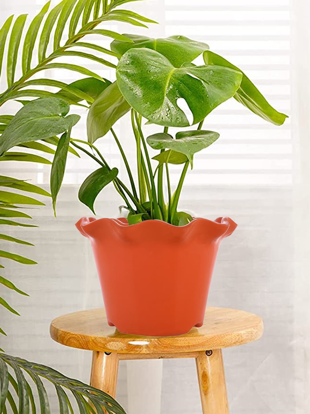 Kuber Industries Orange 5 Pcs Flower Blossom Planters