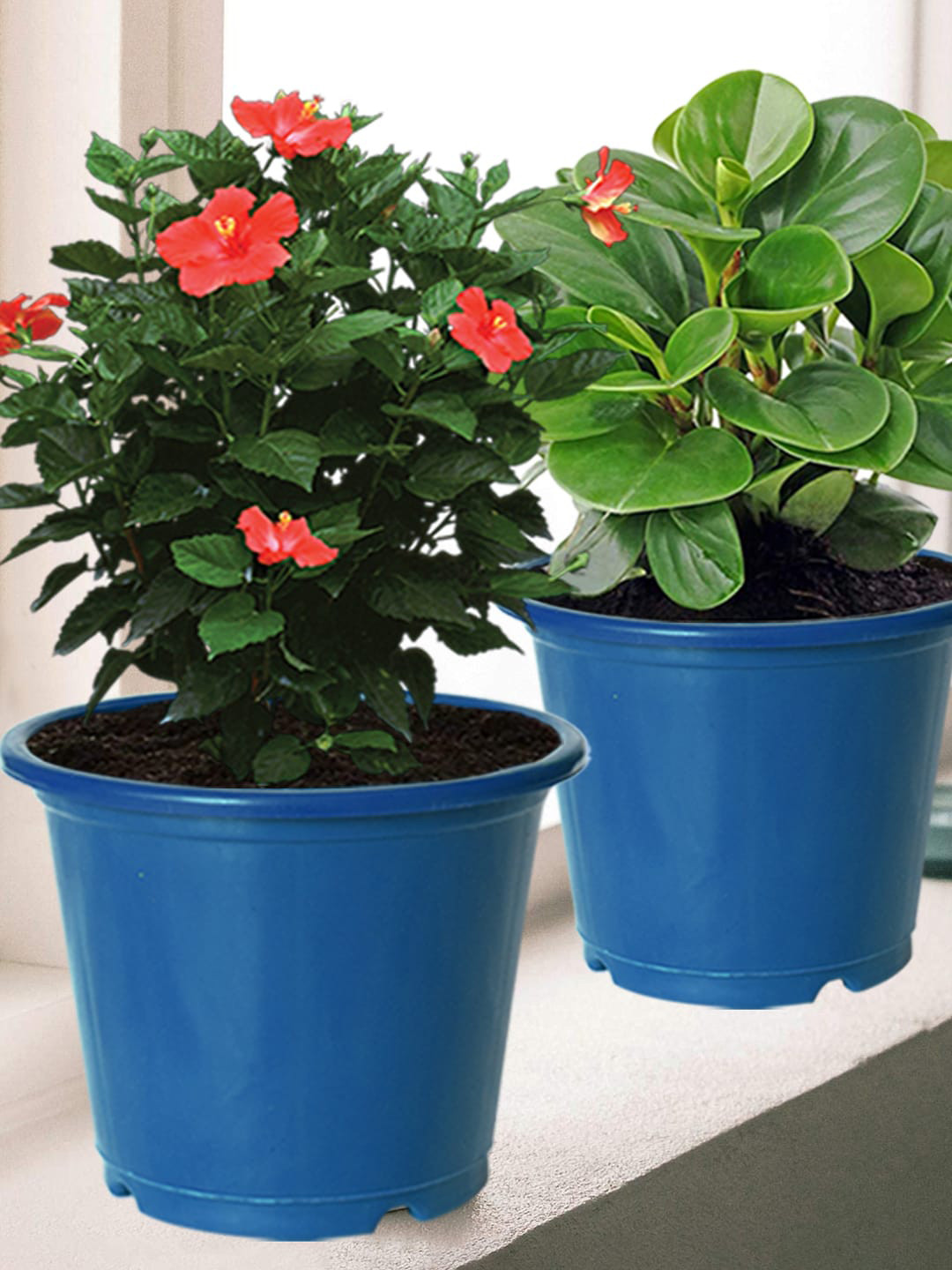Kuber Industries Blue 5 Pieces Durable Plastic Flower Pot Gamla For Home Decor