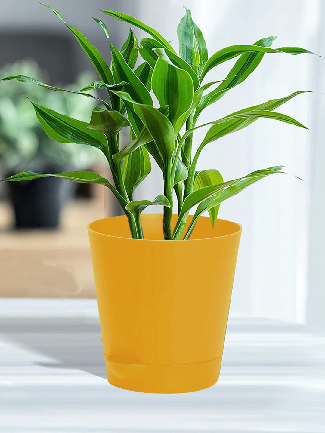 Kuber Industries Yellow 3 Pieces Self-Watering Planters With Drainage Holes