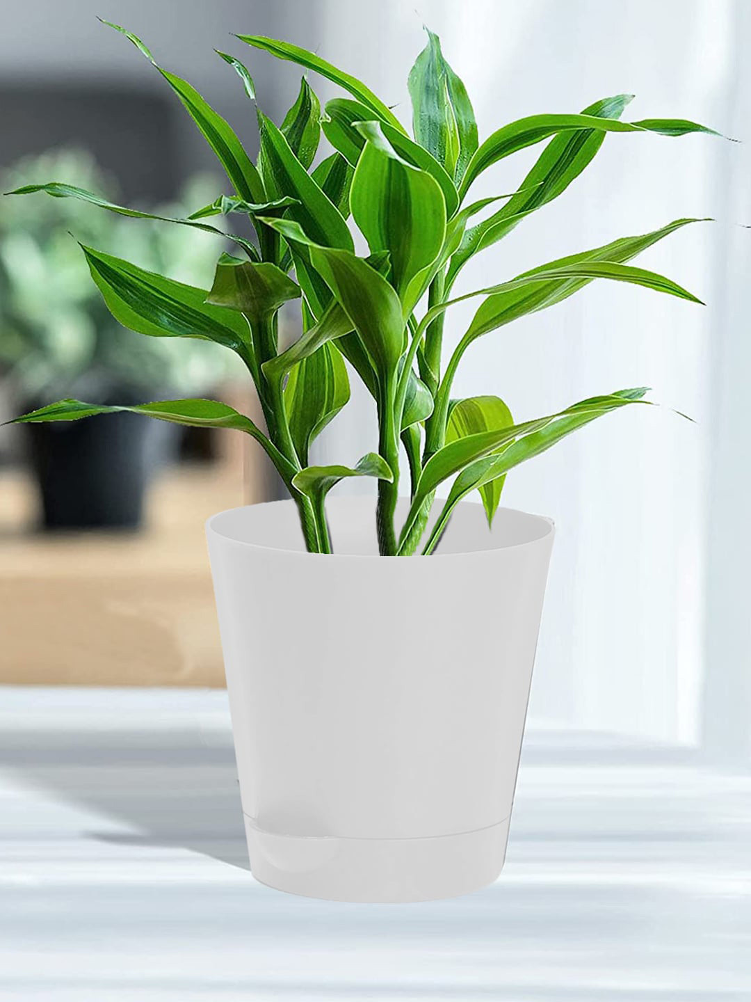 Kuber Industries White 2 Pieces Self-Watering Planters With Drainage Holes