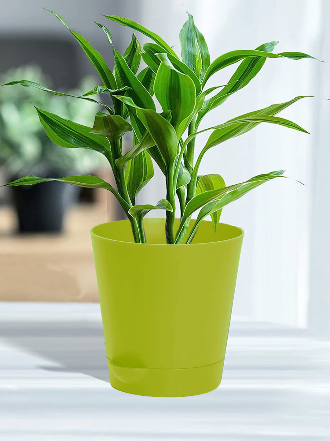 Kuber Industries Green 3 Pieces Self-Watering Planters With Drainage Holes