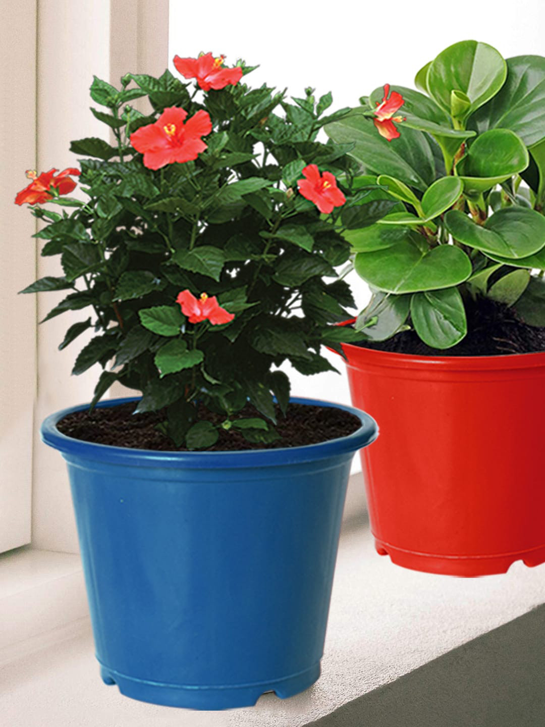 Kuber Industries Blue & Red 3 Pcs Plastic Flower Pot Gamla For Home Decor