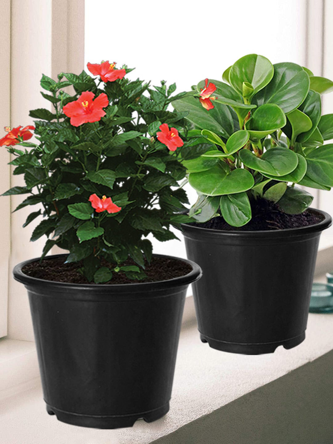 Kuber Industries Red & Black 3 Pcs Plastic Flower Pot Gamla for Home Decor