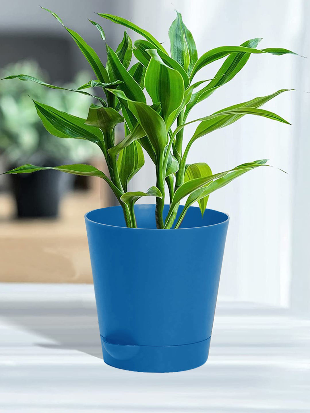 Kuber Industries Blue 3 Pieces Self-Watering Planters With Drainage Holes