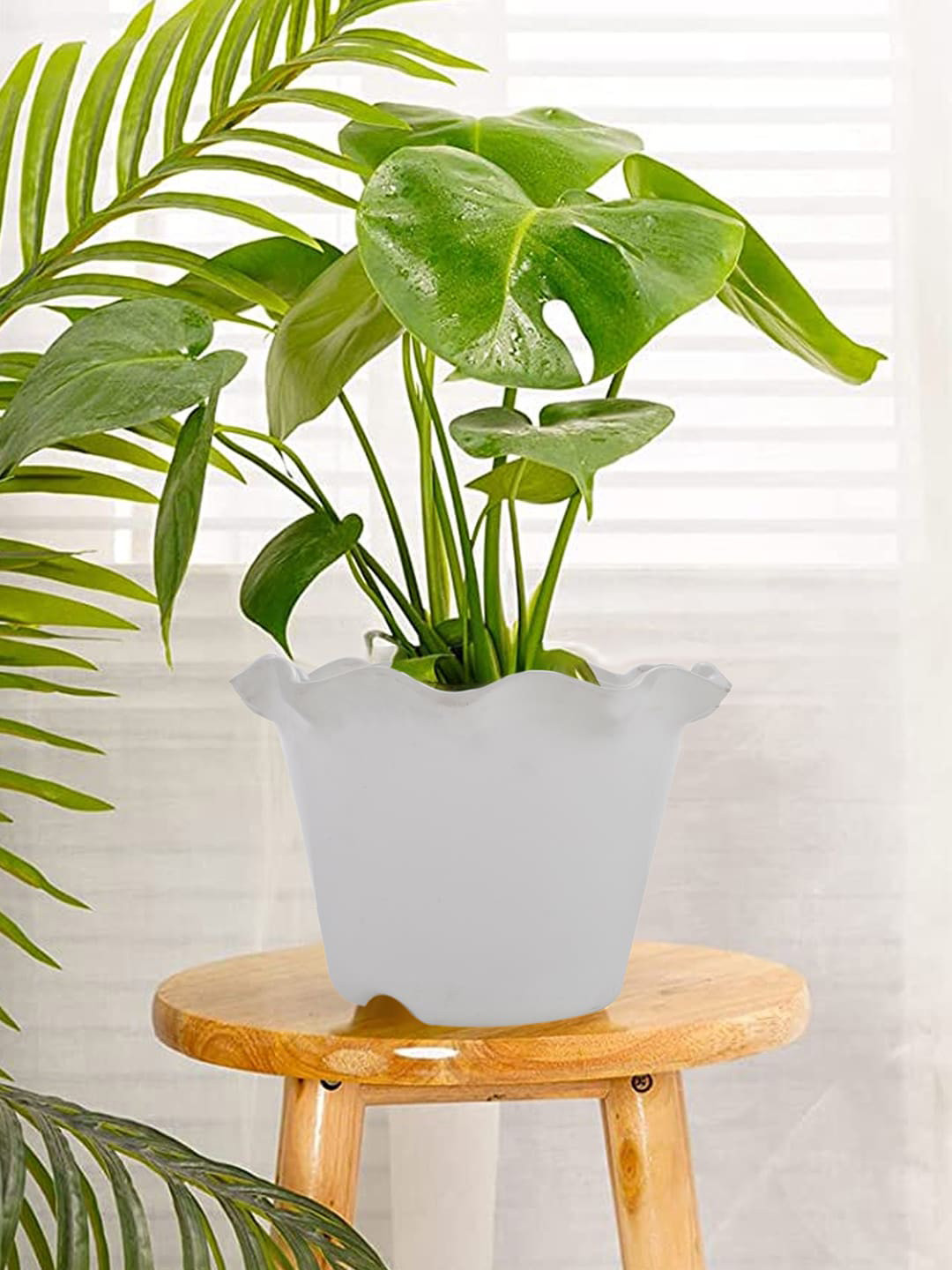 Kuber Industries White & Blue 3 Pieces Blossom Planters
