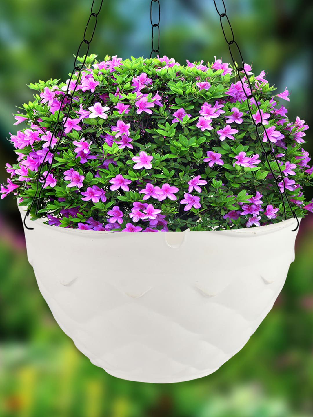 Kuber Industries White 3 Pcs Diamond Textured Hanging Flower Pots