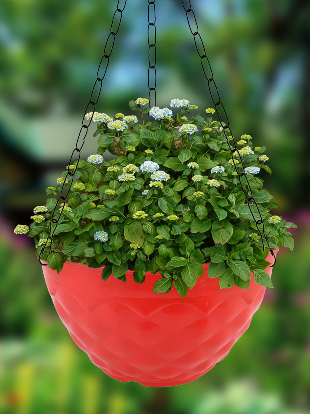 Kuber Industries Red 2 Pcs Diamond Textured Hanging Flower Pots