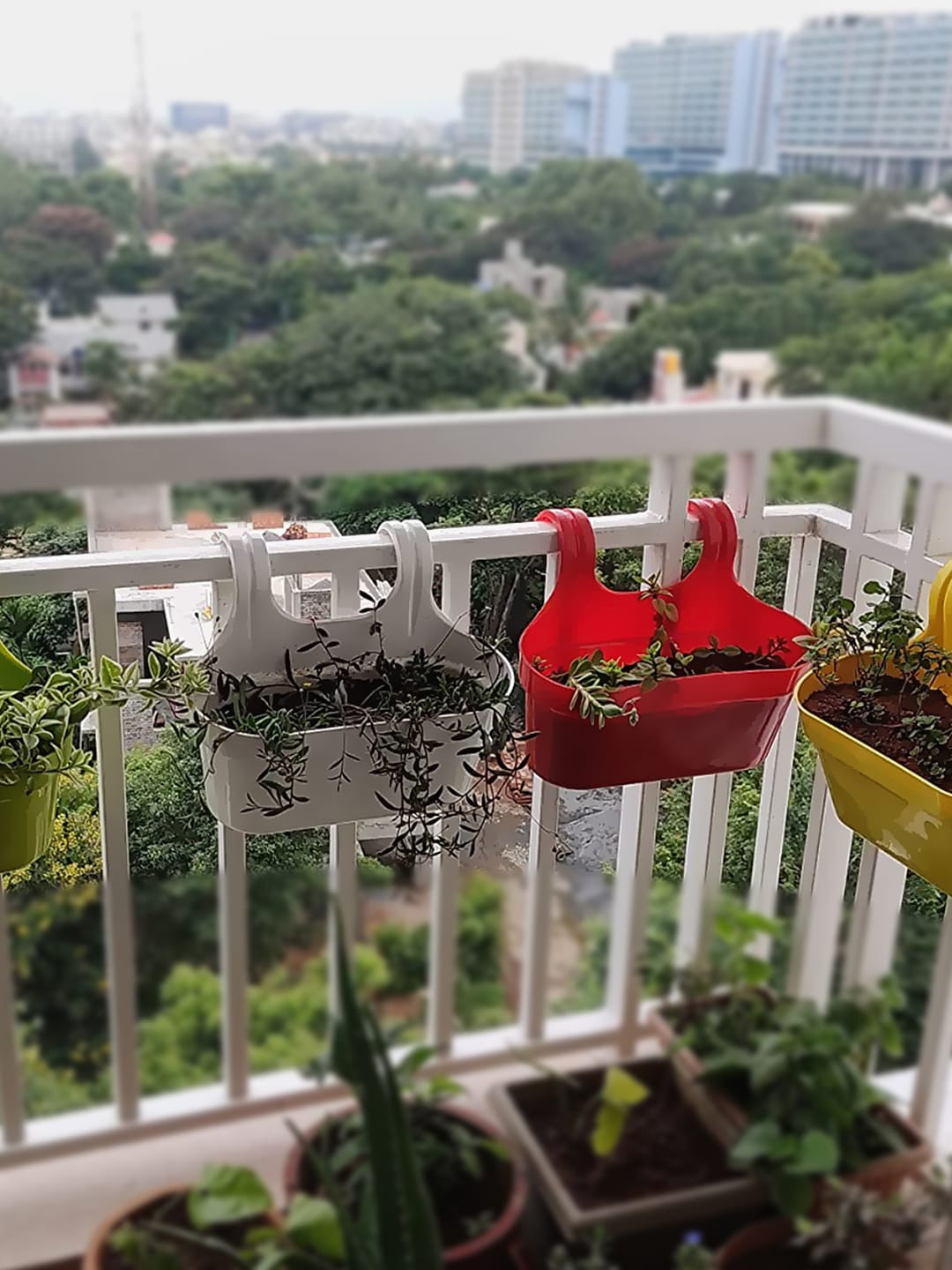 Kuber Industries Yellow 4 Pcs Double Hook Plant Container Pots