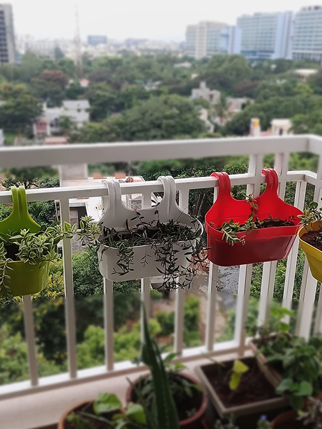 Kuber Industries Red & Yellow 3 Pcs Double Hook Plant Container Pots