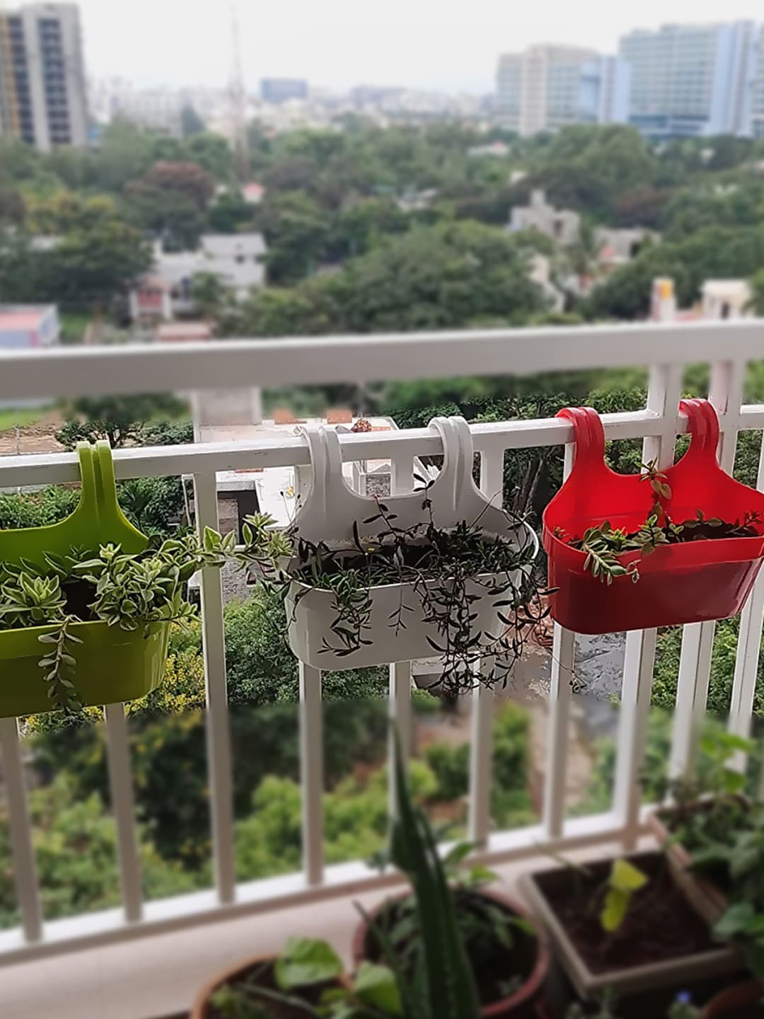 Kuber Industries 4 Pcs Double Hooks Plant Container Pots