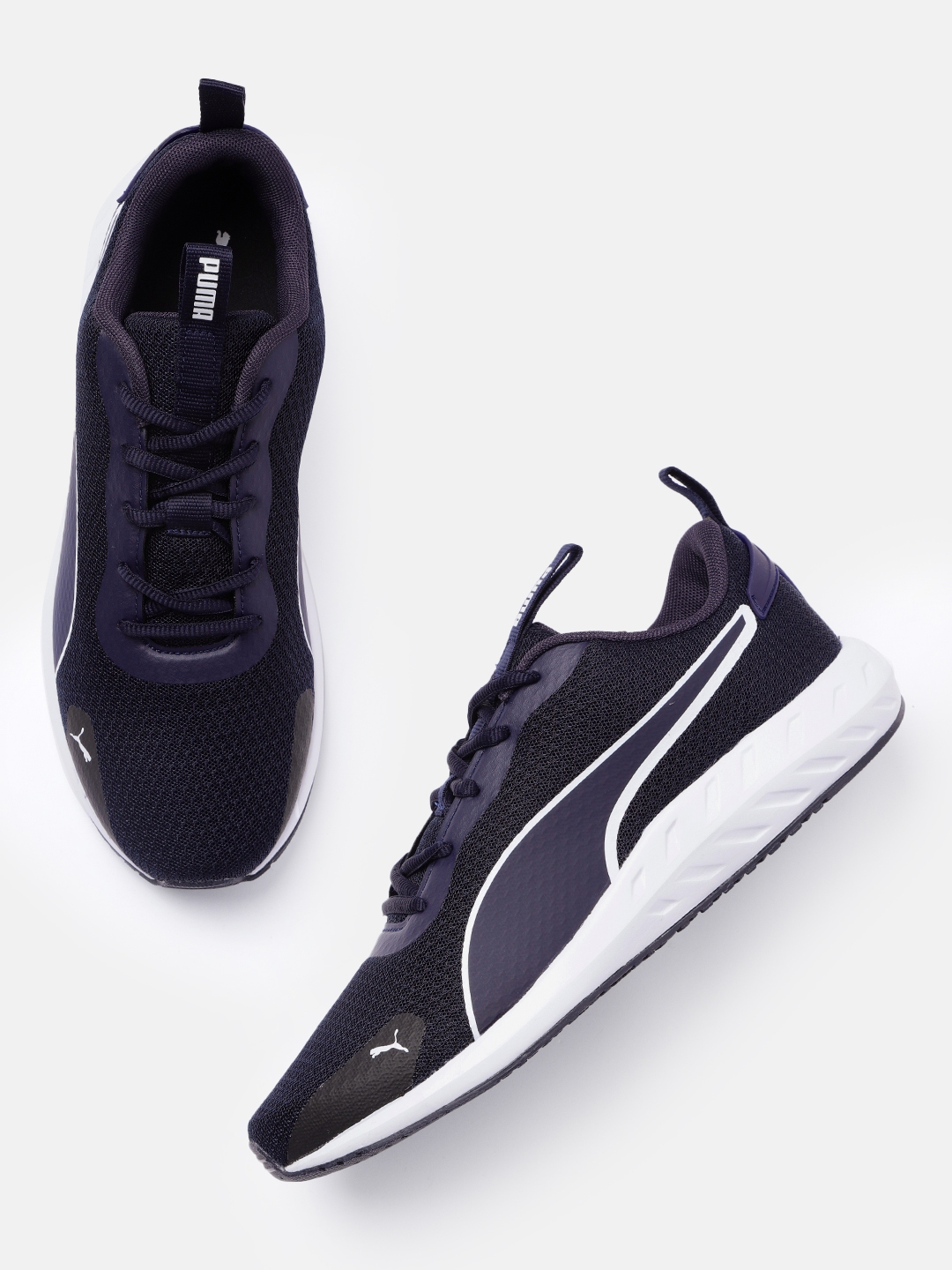 Buy Puma Men Solid Walter Road Running Shoes Sports Shoes for Men 22154018 Myntra