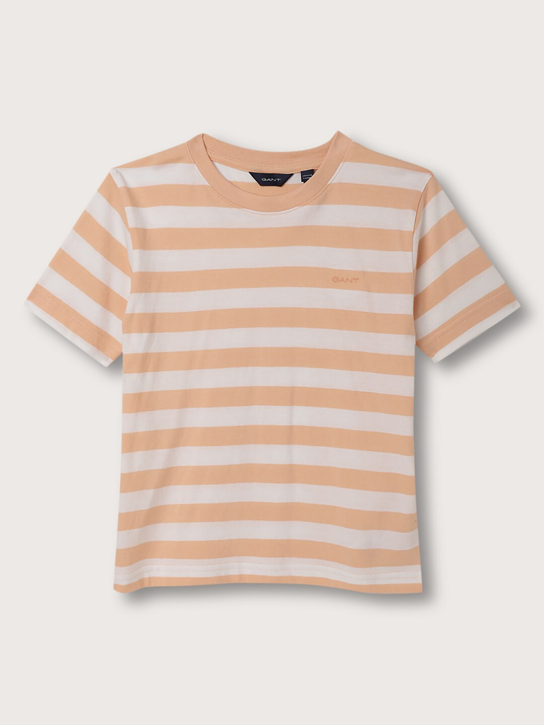 GANT Relaxed Fit Block Stripe Organic Cotton T-shirt
