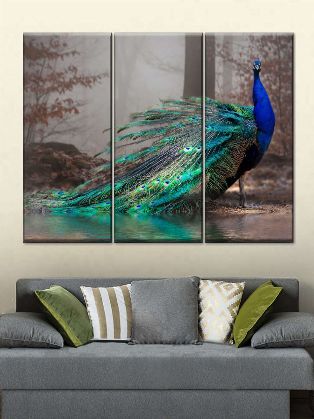 POSTERS AND TRUSS Peacock Canvas 3 Pcs Wall Living Room Rectangle Paintings Wall Art