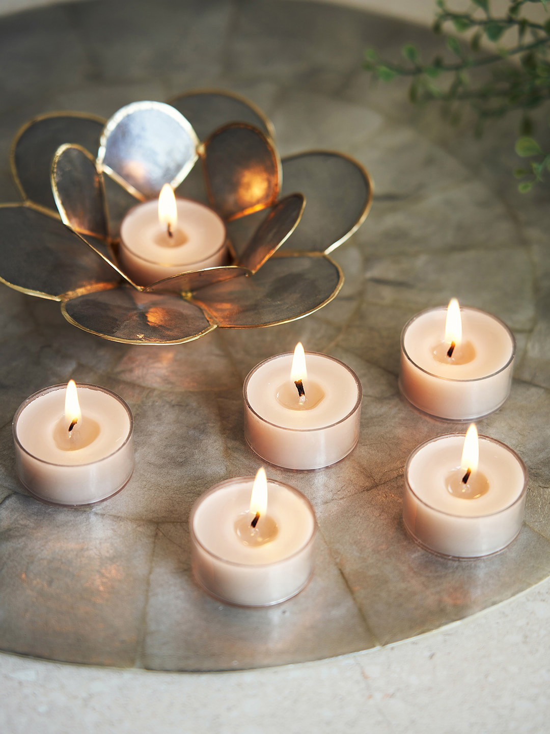 Pure Home and Living 24 Pieces Beige Lavender and Chamomile Tea Lights Wax Candles