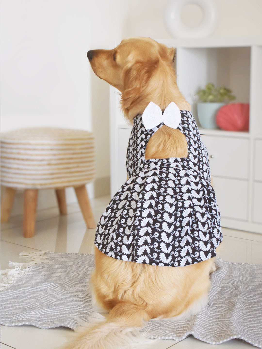 VASTRAMAY Chikankari Cut Out Pure Cotton Dog Dress